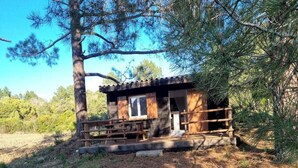 Une cabane rustique avec une terrasse en bois et une seule porte, entourée de pins.