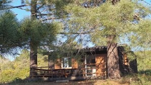 Un chalet rustique aux murs en bois, entouré de pins.