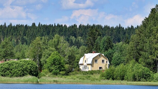 Una casa rodeada de bosque denso y una masa de agua.