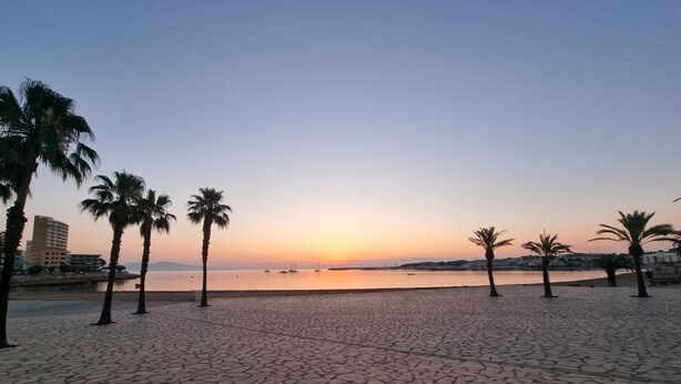Ein Strand mit gepflastertem Weg, Palmen und einem Sonnenuntergang über dem Wasser.