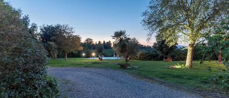 A gravel path leading to a pool area with surrounding greenery and trees.