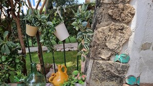 A variety of potted plants and decorative items on a wooden surface, with a stone wall and a metal fence in the background. - Cozy apartment with terrace 400m from the beach (L'Escala)
