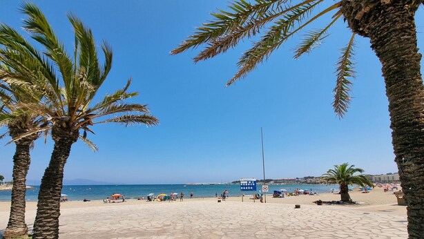 Een strand met palmbomen, een helderblauwe lucht en een bordje in de verte.