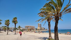 Eine Strandpromenade mit Palmen, einem klaren Himmel und Gebäuden im Hintergrund.