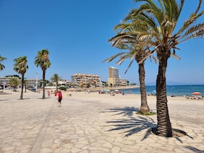 Eine Strandpromenade mit Palmen, einem klaren Himmel und Gebäuden im Hintergrund.