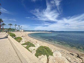A coastal beach scene with clear blue water, a sandy shore, and a promenade lined with palm trees. - Modern T2 with terrace, air conditioning and parking in La Ciotat (La Ciotat)