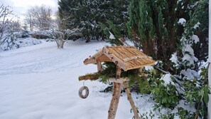 Property grounds - Black Forest Hideaway🌲 (Schönwald im Schwarzwald)