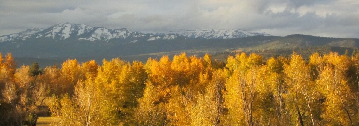 オーナーのプロフィール画像