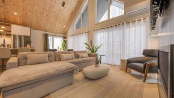 TV, caminetto, studio