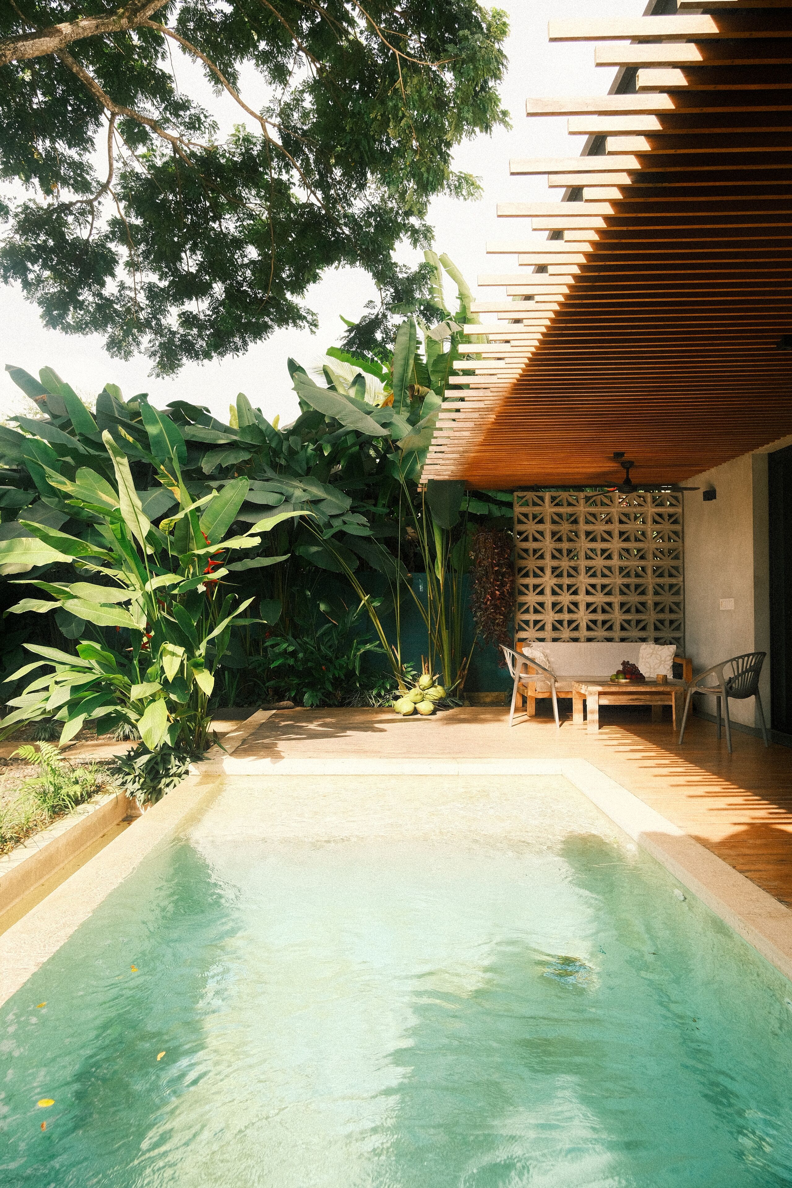 Alberca al aire libre 