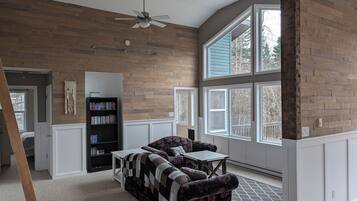 TV, DVD player, video library