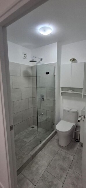 Regadera, secadora de cabello, toallas, jabón 