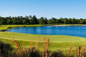 Golf - Beachside Bungalow Retreat – Steps to Pawleys Island Inlet! 2Bed/2Bath Duplex (Pawleys Island)