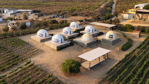 A vineyard with rows of grapevines and several dome-shaped structures, likely used for wine production. - Cupulas Del Valle  (Valle de Guadalupe)