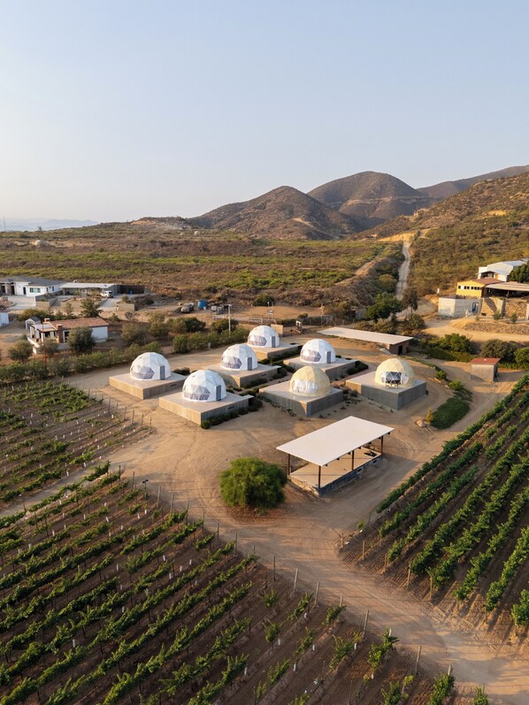 المنشأة من الخارج