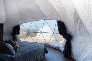 واي فاي مجانًا