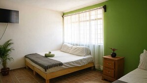 A single bed with a wooden frame, a bedside table with drawers, a potted plant, and a television mounted on the wall. - Stay at Casa Alixchel 6 minutes from the Zocalo (Oaxaca de Juárez)