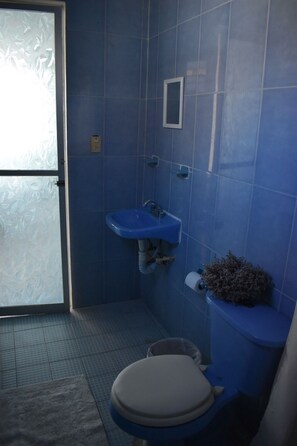 Serviettes fournies, savon, papier toilette