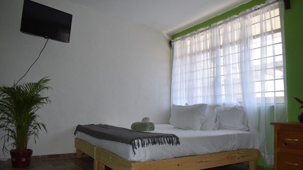 A bedroom with a bed, a television mounted on the wall, a potted plant, and a window with sheer curtains. - Stay at Casa Alixchel 6 minutes from the Zocalo (Oaxaca de Juárez)