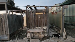 A rustic outdoor area with a wooden fence, a stone bench, and a cat. - THE FAR SIDE OF THE MOON
Off Grid 1-bedroom  "Cowboy Camp" in the desert (Terlingua)