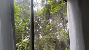 A window with a view of a lush, green forest. - Monstera Forest Lodge #2 (Provincia de Alajuela)