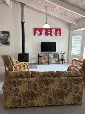 TV connectée, cheminée, livres