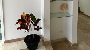 Un angolo con una pianta in vaso, un punto luce a parete e un'unità contenitori in vetro con oggetti decorativi.