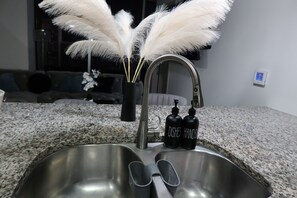 Miscellaneous - Luxury Buckhead High Rise apartment, walk to Lenox, clubs, fine dining. (Atlanta)