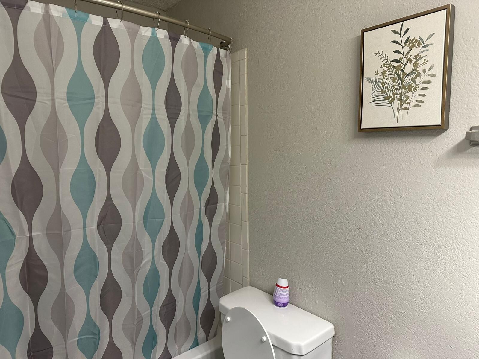 Hair dryer, towels, soap, toilet paper