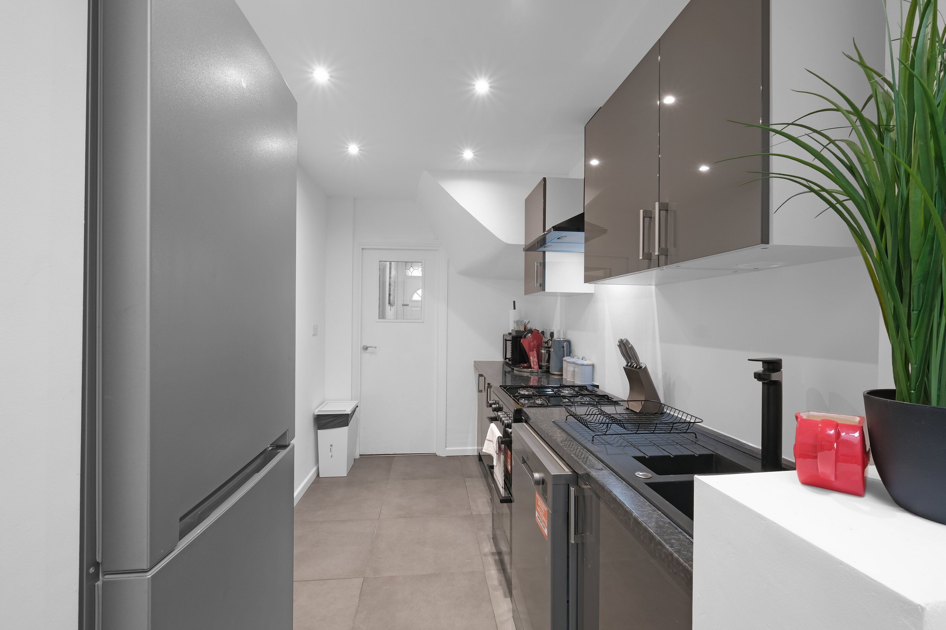 A modern kitchen with stainless steel appliances, a gas stove, and a potted plant.