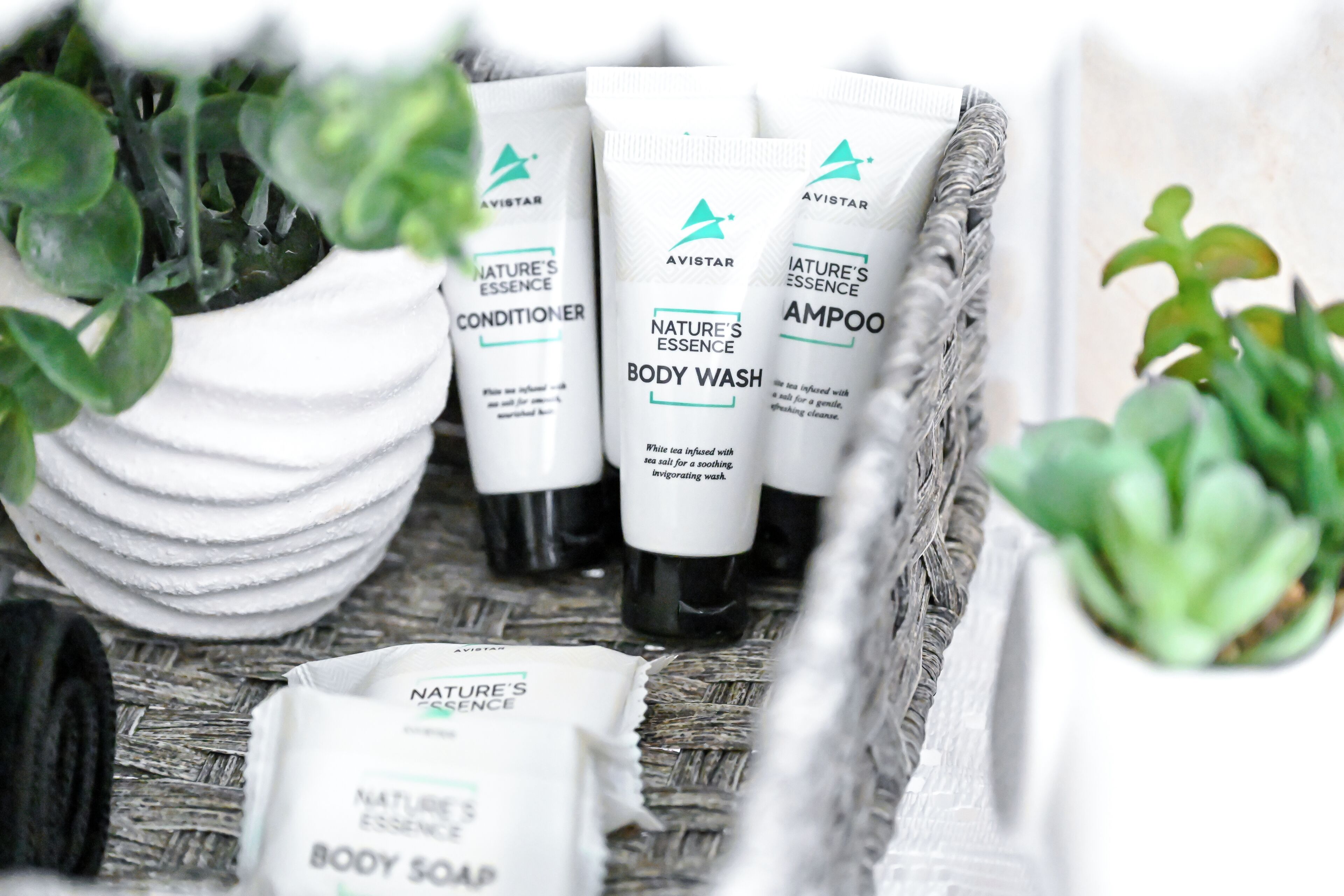 シャワー、ヘアドライヤー、タオル、石鹸