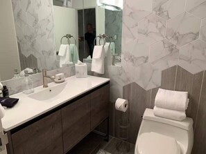 Douche, sèche-cheveux, shampoing