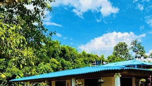 A house with a blue roof, surrounded by lush greenery and a well-maintained lawn.