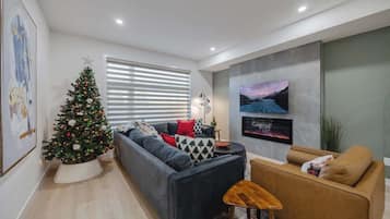 TV, fireplace, offices