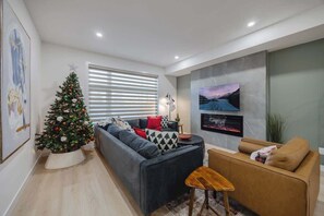 TV, fireplace, offices