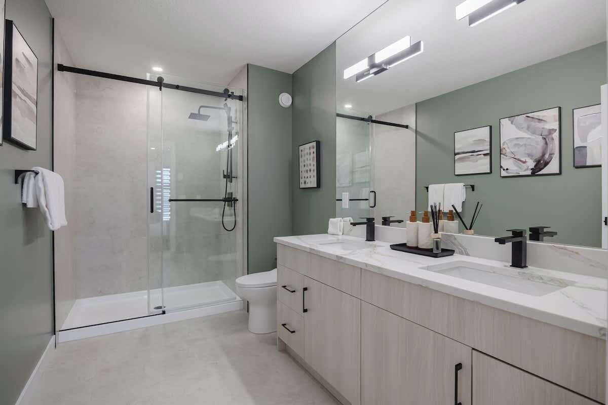 Shower, hair dryer