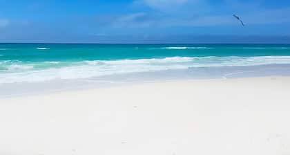 Luxury Townhouse, Private Saltwater Pool, Steps to Beach