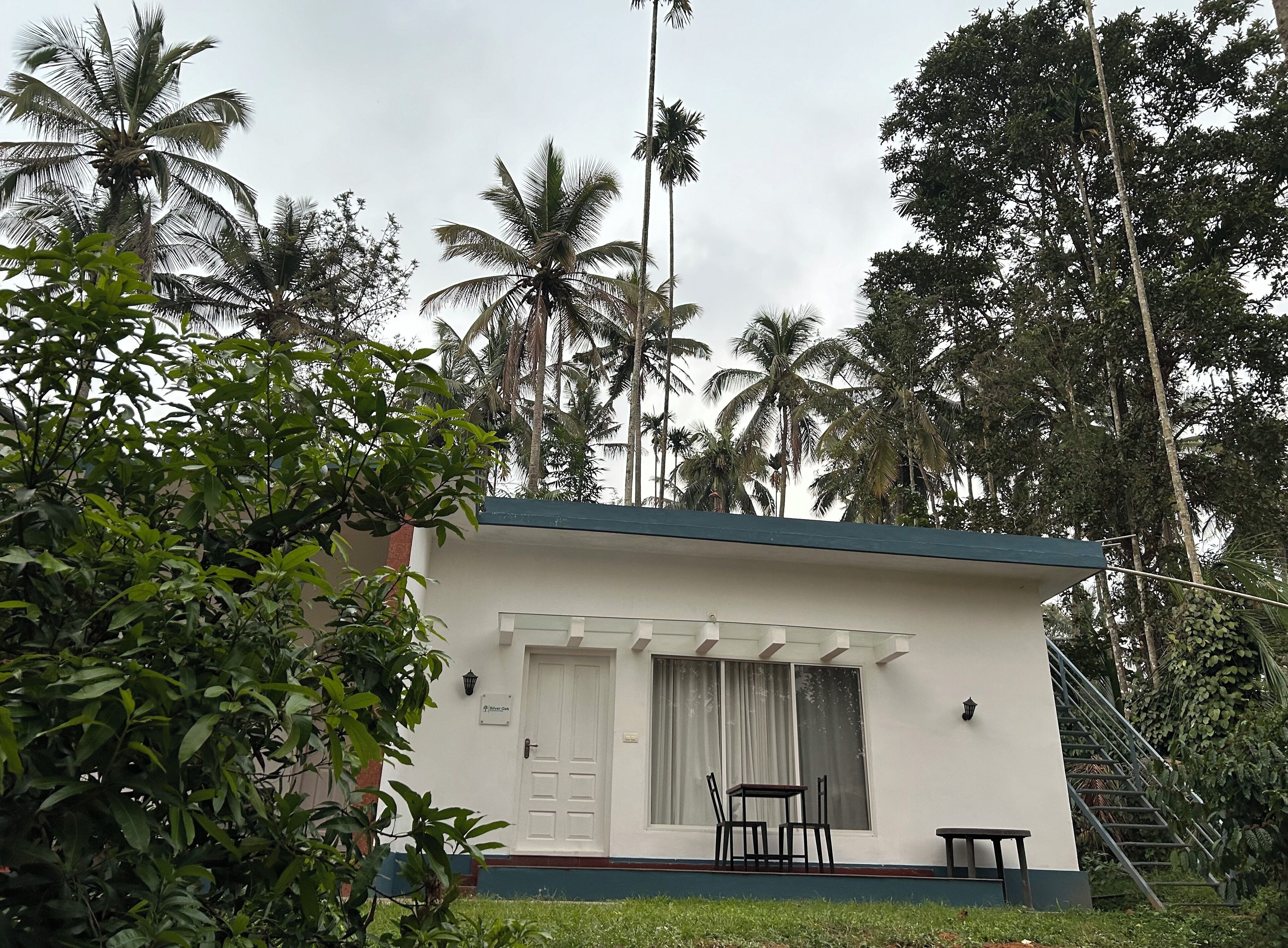 Um pequeno edifício térreo com fachada branca e telhado escuro, cercado por vegetação exuberante e altas palmeiras.