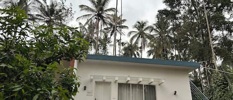 Un pequeño edificio de una sola planta, con fachada blanca y techo oscuro, rodeado de exuberante vegetación y altas palmeras.