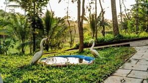 A pond with two swans, surrounded by lush greenery and trees. - Exuberance Stays (Sulthan Bathery)