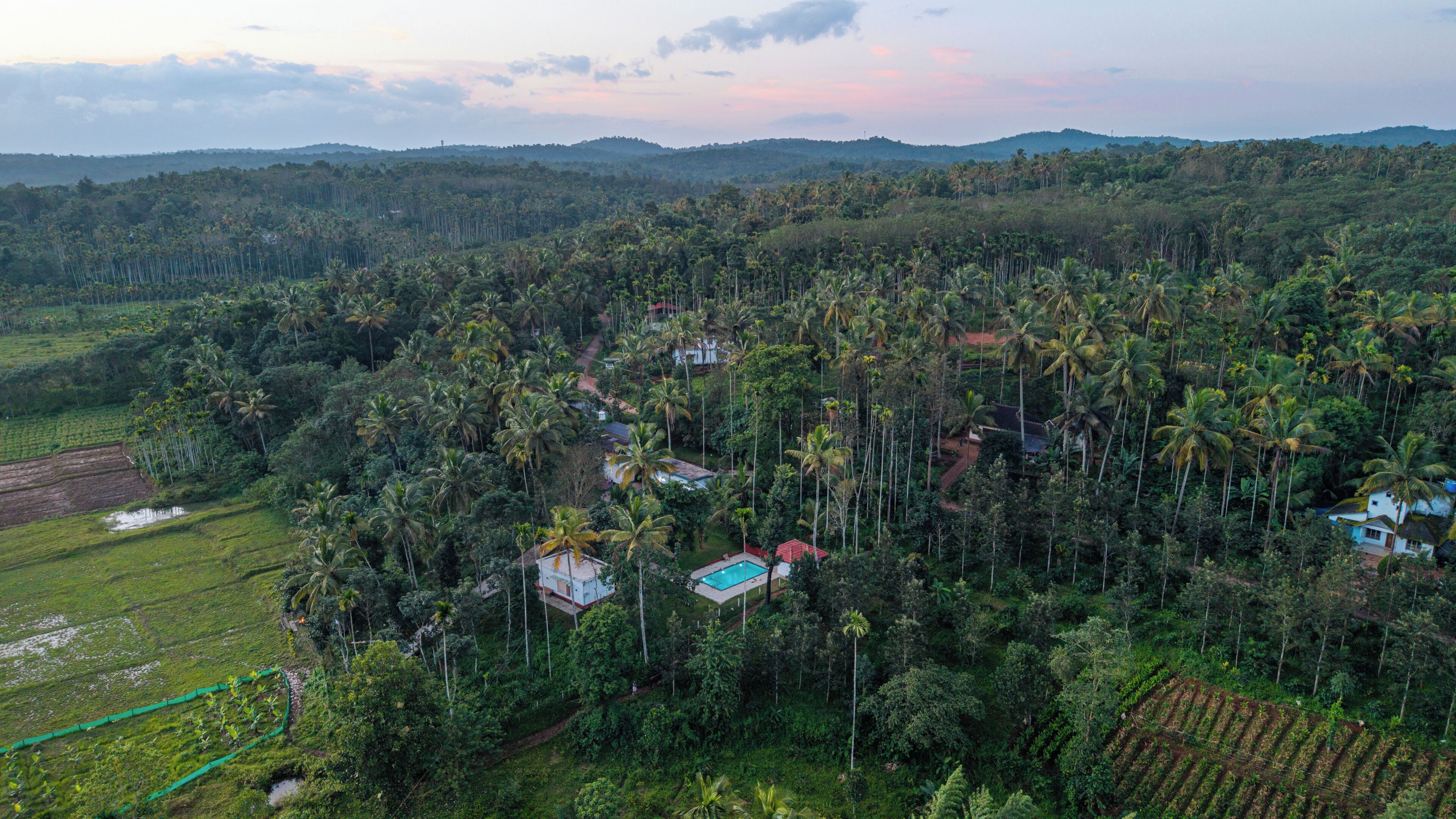 A tropical landscape with scattered houses, dense palm trees, and terraced fields.