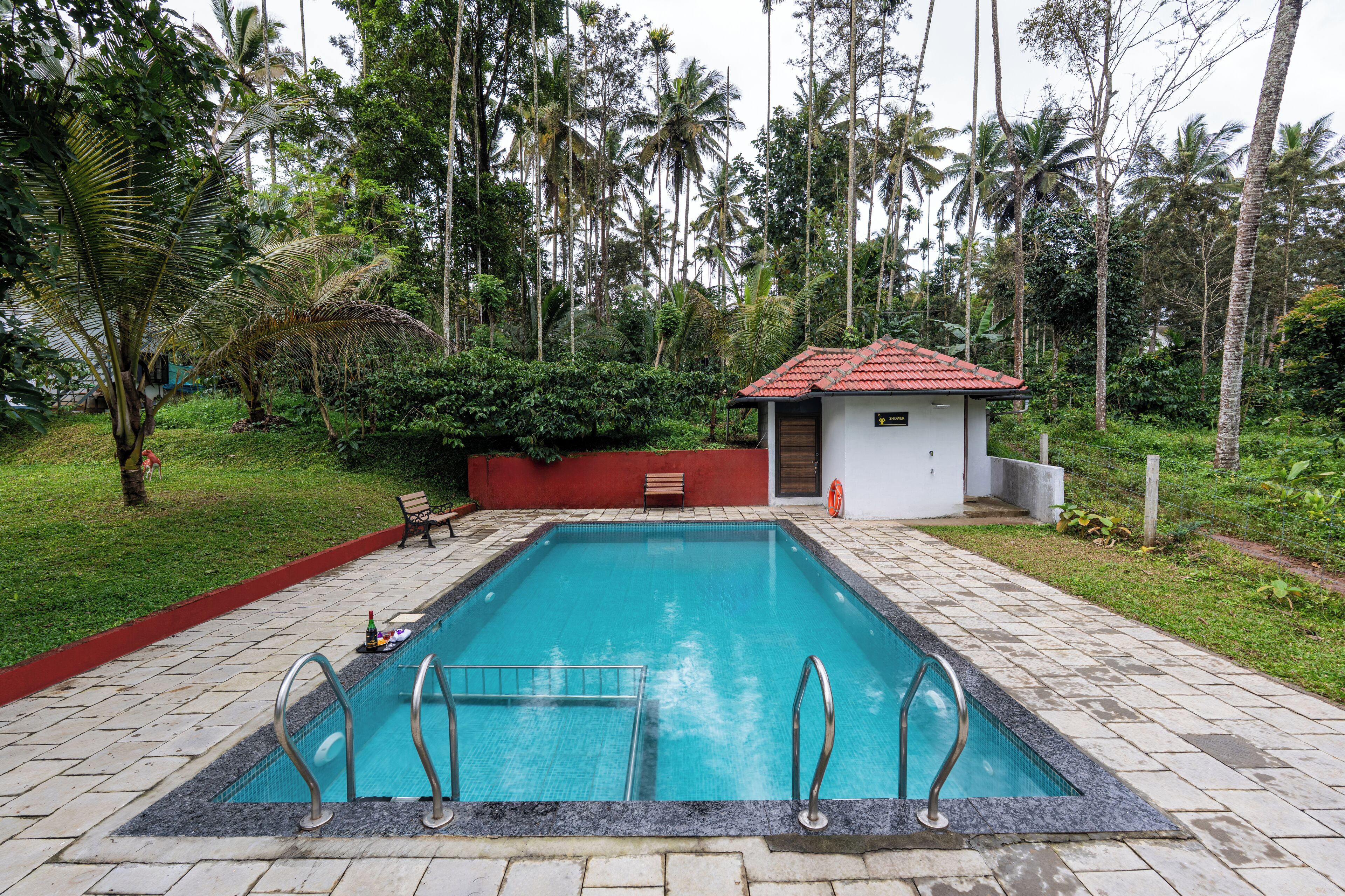 A rectangular swimming pool with a tiled deck, surrounded by lush greenery and palm trees.