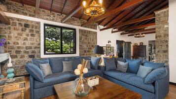 Tv, eldstad och böcker