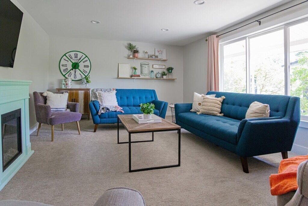 TV, fireplace, books