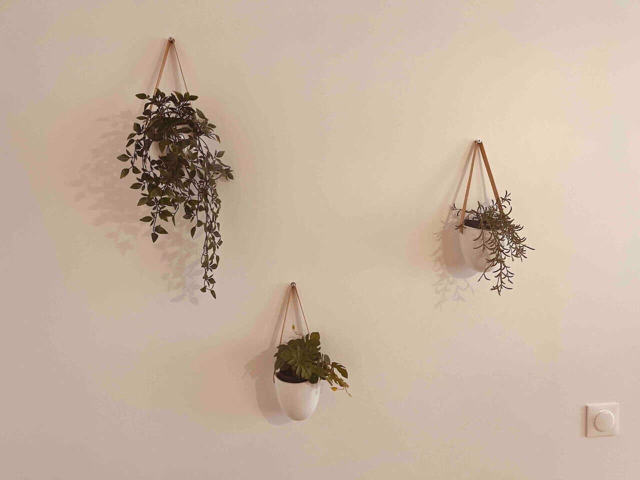 Three wall-mounted planters with different plants.
