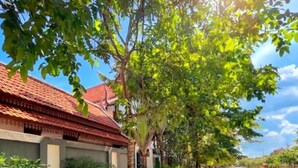 Une rue résidentielle bordée de maisons, dont l’une se distingue par son toit recouvert de tuiles rouges, son allée gravillonnée et les arbres qui offrent de l’ombre.