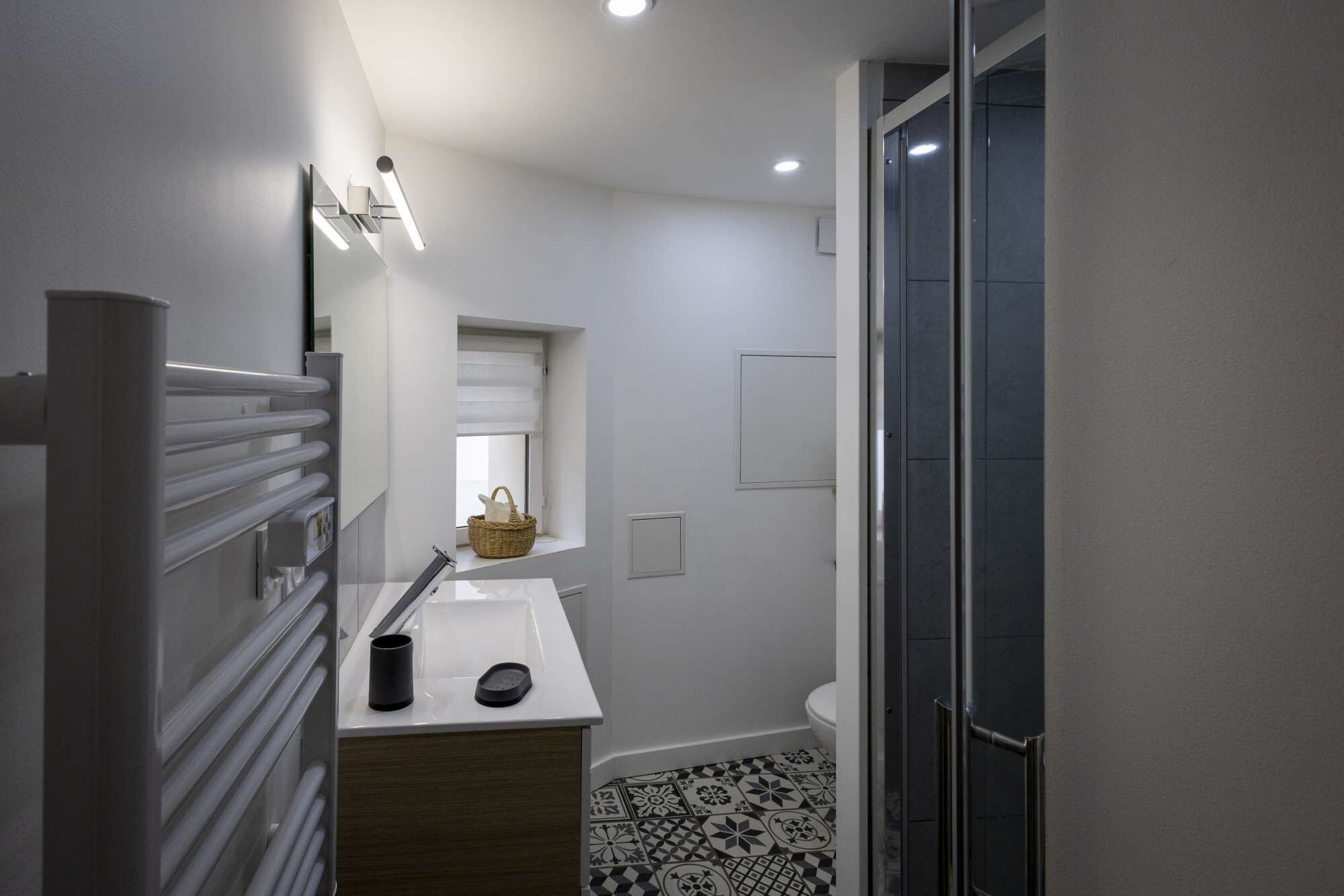 Shower, hair dryer