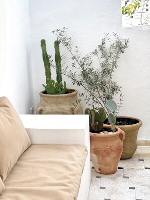 Property grounds - Casaflor Tunis, Apartment 4 pers. with large terrace (Tunis)