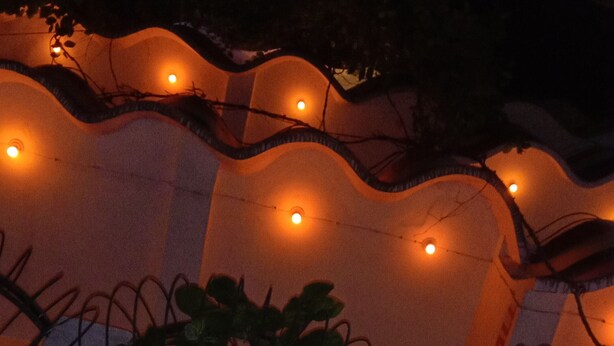Techo decorado con plantas e iluminación, y un cartel que dice "KRISHNA PAYING GUEST HOUSE".