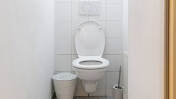 Basic Apartment | Bathroom | Shower, free toiletries, hair dryer, towels